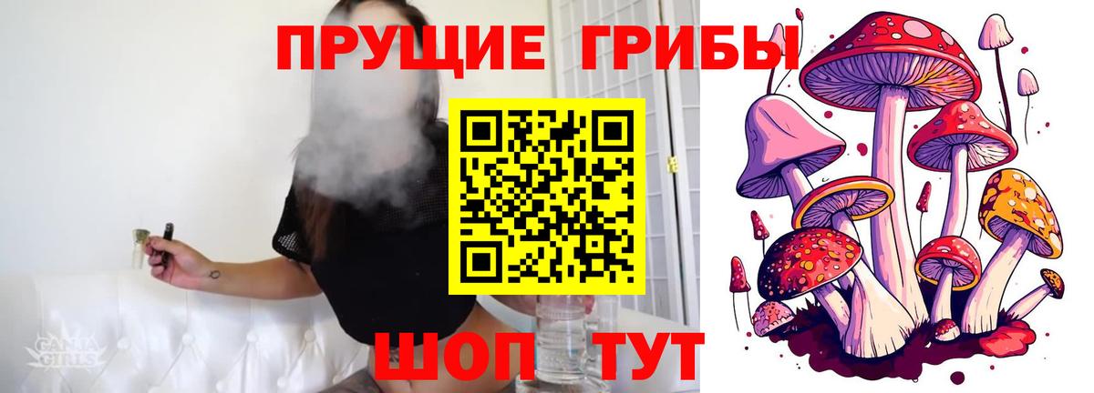 Галлюциногенные грибы MAGIC MUSHROOMS  Вход с VPN  Первоуральск 